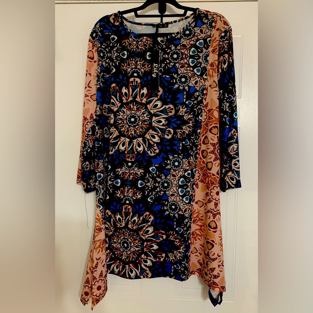 Long Sleeve Tunic / Dress